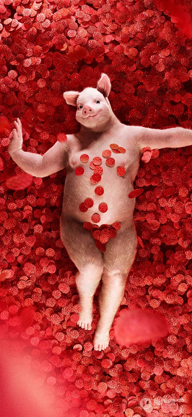 Iphonexs,113D内部透明元件，玫瑰花丛中的猪，黑白吸烟的男子，静心文字等手机壁纸