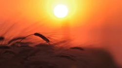 火红的夕阳，美丽的彩霞唯美风景电脑壁纸