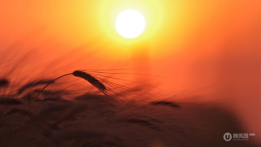 火红的夕阳，美丽的彩霞唯美风景电脑壁纸