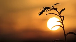 汹涌的海浪加上唯美的海霞夕阳，好美的画面