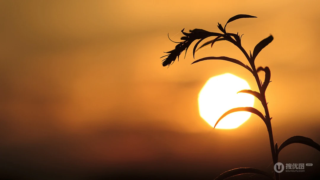 汹涌的海浪加上唯美的海霞夕阳，好美的画面