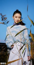 90后内地女演员杨祺如户外茅草地清新清新写真图片
