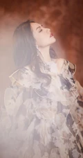 刘惜君身穿复古印花透纱礼服长裙低调奢华写真图片