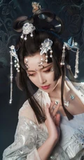 唯美的画风，美艳的古代美女手机壁纸下载