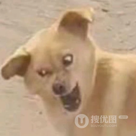 卡通搞怪男女一人一半一套情侣头像