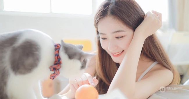 一台相机，一只猫，背心短裤可爱少女的唯美温馨室内图片