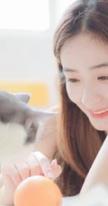 一台相机，一只猫，背心短裤可爱少女的唯美温馨室内图片