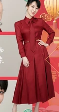 杨紫红色衬衫领带《再次相约二十年》喜庆主题写真图片
