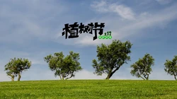 植树节主题壁纸图片，椰子树带植树节文字唯美风景壁纸图片