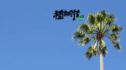 植树节主题壁纸图片，椰子树带植树节文字唯美风景壁纸图片