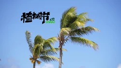 植树节主题壁纸图片，椰子树带植树节文字唯美风景壁纸图片