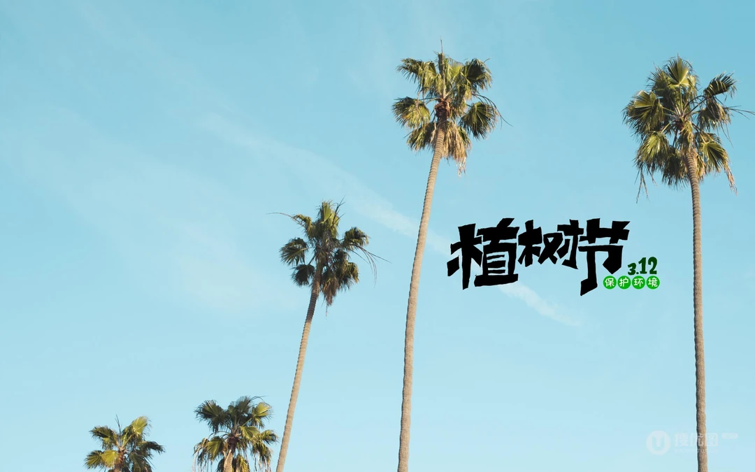植树节主题壁纸图片，椰子树带植树节文字唯美风景壁纸图片