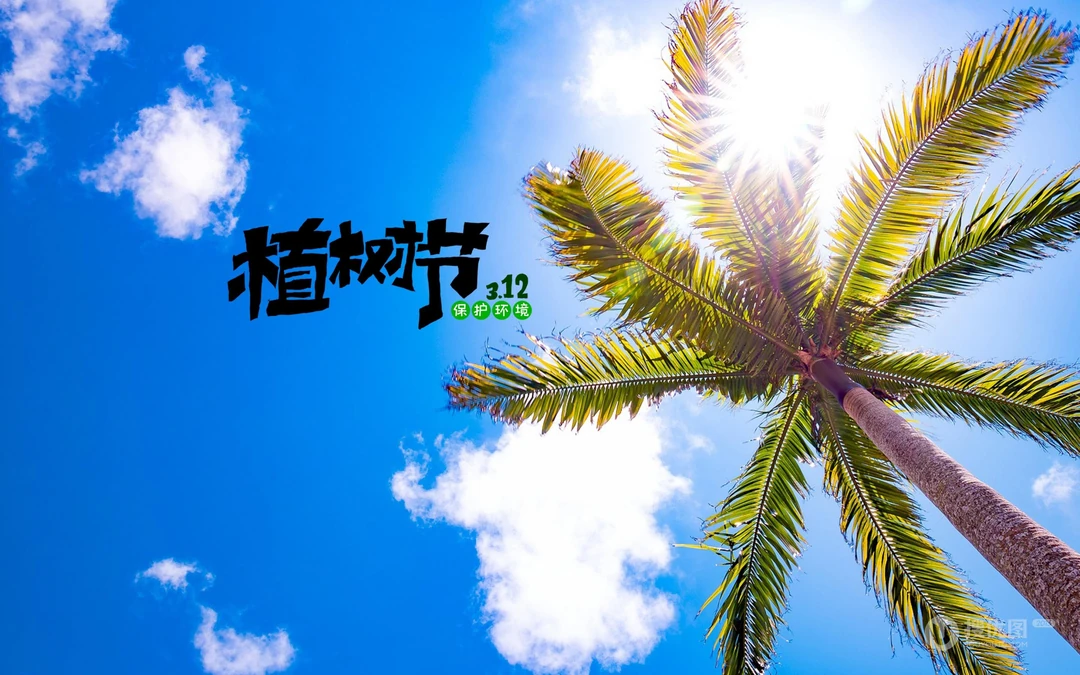 植树节主题壁纸图片，椰子树带植树节文字唯美风景壁纸图片