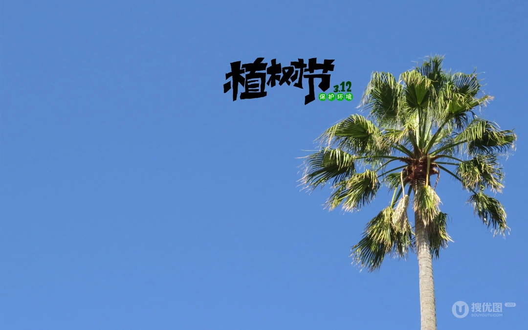 植树节主题壁纸图片，椰子树带植树节文字唯美风景壁纸图片