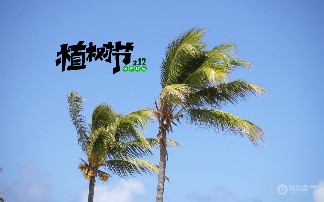 植树节主题壁纸图片，椰子树带植树节文字唯美风景壁纸图片