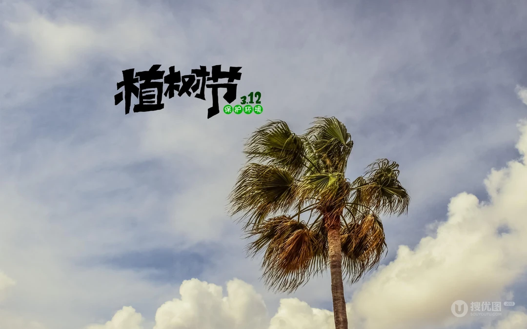 植树节主题壁纸图片，椰子树带植树节文字唯美风景壁纸图片