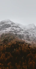 巍峨雄伟的雪山高清护眼手机壁纸2K屏专属