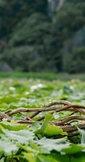 迪丽热巴古装仙气扮相剧照，《三生三世枕上书》迪丽热巴个人剧照图片