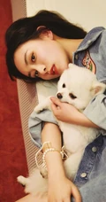 孟子义怀抱狗狗拍摄室内写真，牛仔衣搭配齐肩短发酷美动人