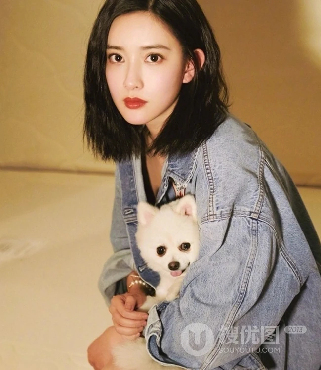 孟子义怀抱狗狗拍摄室内写真，牛仔衣搭配齐肩短发酷美动人