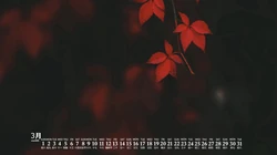 2020年3月日历壁纸，森林，树木，溪流，林荫大道等风景日历桌面