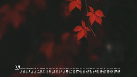 2020年3月日历壁纸，森林，树木，溪流，林荫大道等风景日历桌面