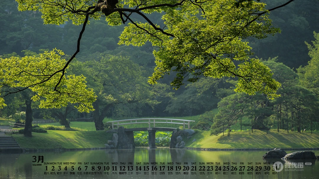 2020年3月日历壁纸，森林，树木，溪流，林荫大道等风景日历桌面