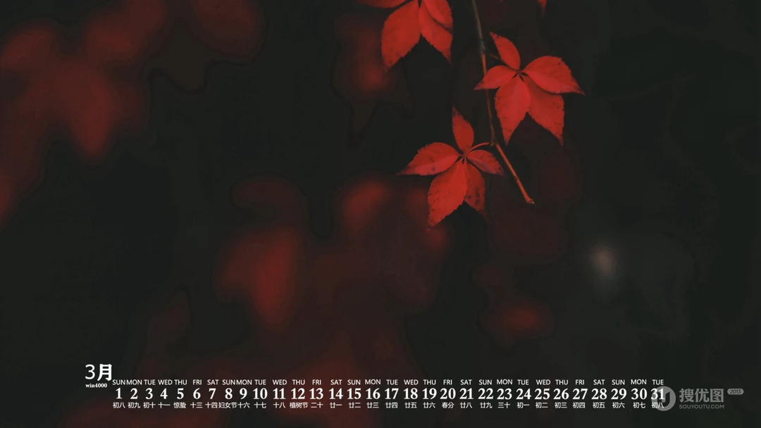 2020年3月日历壁纸，森林，树木，溪流，林荫大道等风景日历桌面