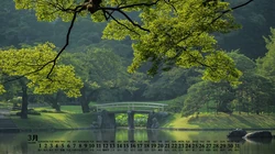 2020年3月日历壁纸，森林，树木，溪流，林荫大道等风景日历桌面