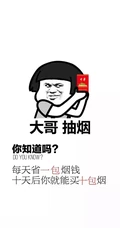 创意搞笑的文字手机壁纸三月推荐