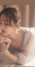 王丽坤灰色V领轻纱礼服长裙婉约柔美写真图片
