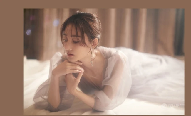 王丽坤灰色V领轻纱礼服长裙婉约柔美写真图片
