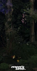 angelababy梦幻花园个性写真，化身丛林绿枝中捕捉生命的花匠