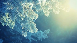 冰雪中的绿意，唯美高清冰雪中的树木枝丫微距桌面壁纸图片