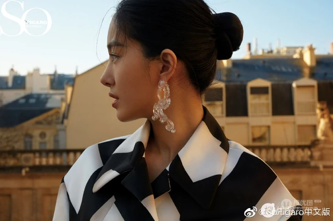 杨采钰《sofigaro中文版》电子杂志复古写真封面图片