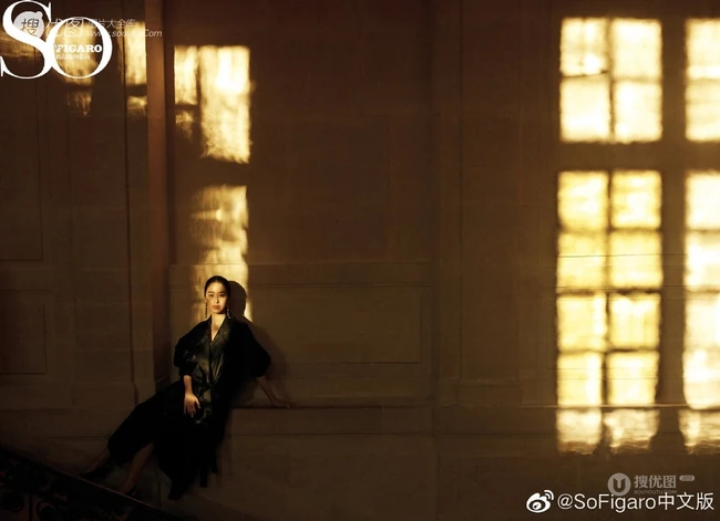 杨采钰《sofigaro中文版》电子杂志复古写真封面图片