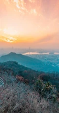 唯美自然风景，马路落叶静物清新手机壁纸3月19日推荐