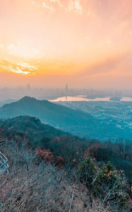 唯美自然风景，马路落叶静物清新手机壁纸3月19日推荐