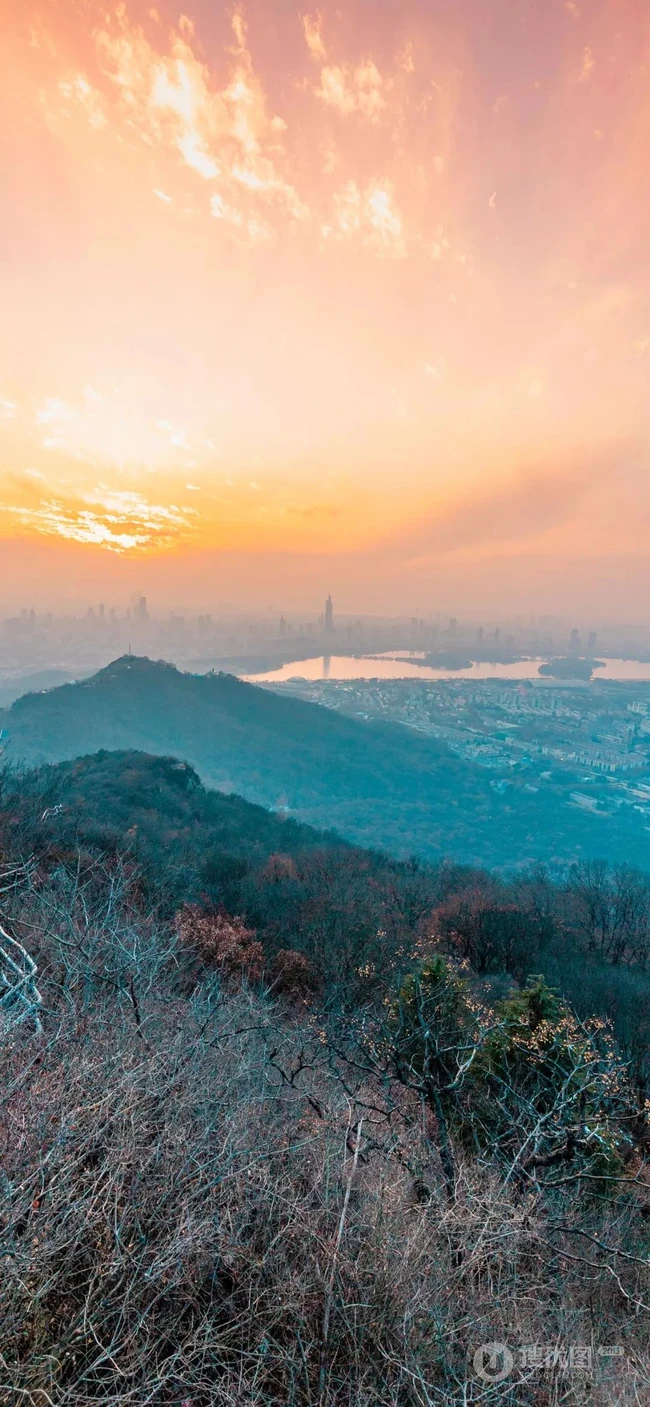 唯美自然风景，马路落叶静物清新手机壁纸3月19日推荐
