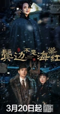 黄晓明，尹正，佘诗曼主演电视剧《鬓边不是海棠红》定档海报图片