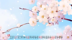 美的不像话，樱花浪漫二次元场景日历壁纸，2020年4月日历图片