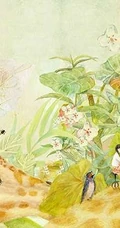 挺美的一组插画图片