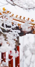 古代宫殿故宫外的唯美雪景高清手机壁纸