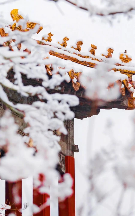 古代宫殿故宫外的唯美雪景高清手机壁纸
