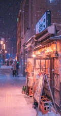 唯美的冬季城市街景，白雪皑皑很美的手机壁纸
