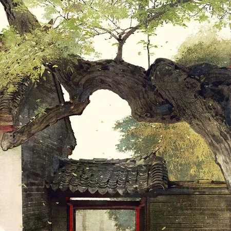 有意境的中国画风插画美图，树木，院落，雨景，美不胜收