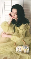 春夏晒自家衣柜前坐地写真，着淡黄色纱裙，慵懒拨发超动人