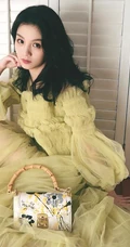 春夏晒自家衣柜前坐地写真，着淡黄色纱裙，慵懒拨发超动人