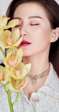 美女明星刘诗诗私人写真手机壁纸套图4.22推荐