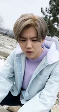 鹿晗冬季出游随拍1080P手机壁纸